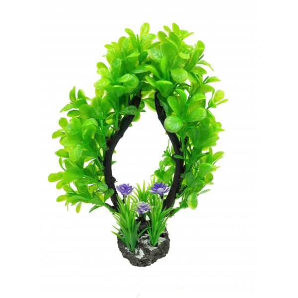 ΔΙΑΚΟΣΜΗΤΙΚΟ ΦΥΤΟ ΕΝΥΔΡΕΙΟΥ